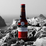 Terenez - Triple 33 cl