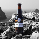 Terenez - Brune 33 cl