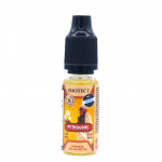 Protect - Pythagore